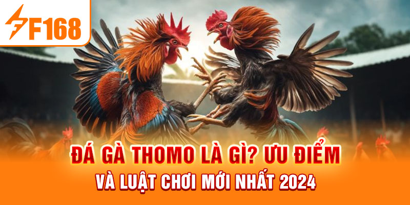 Đá Gà Thomo Là Gì? Ưu Điểm Và Luật Chơi Mới Nhất 2024 Đá Gà Thomo Là Gì? Ưu Điểm Và Luật Chơi Mới Nhất 2024
